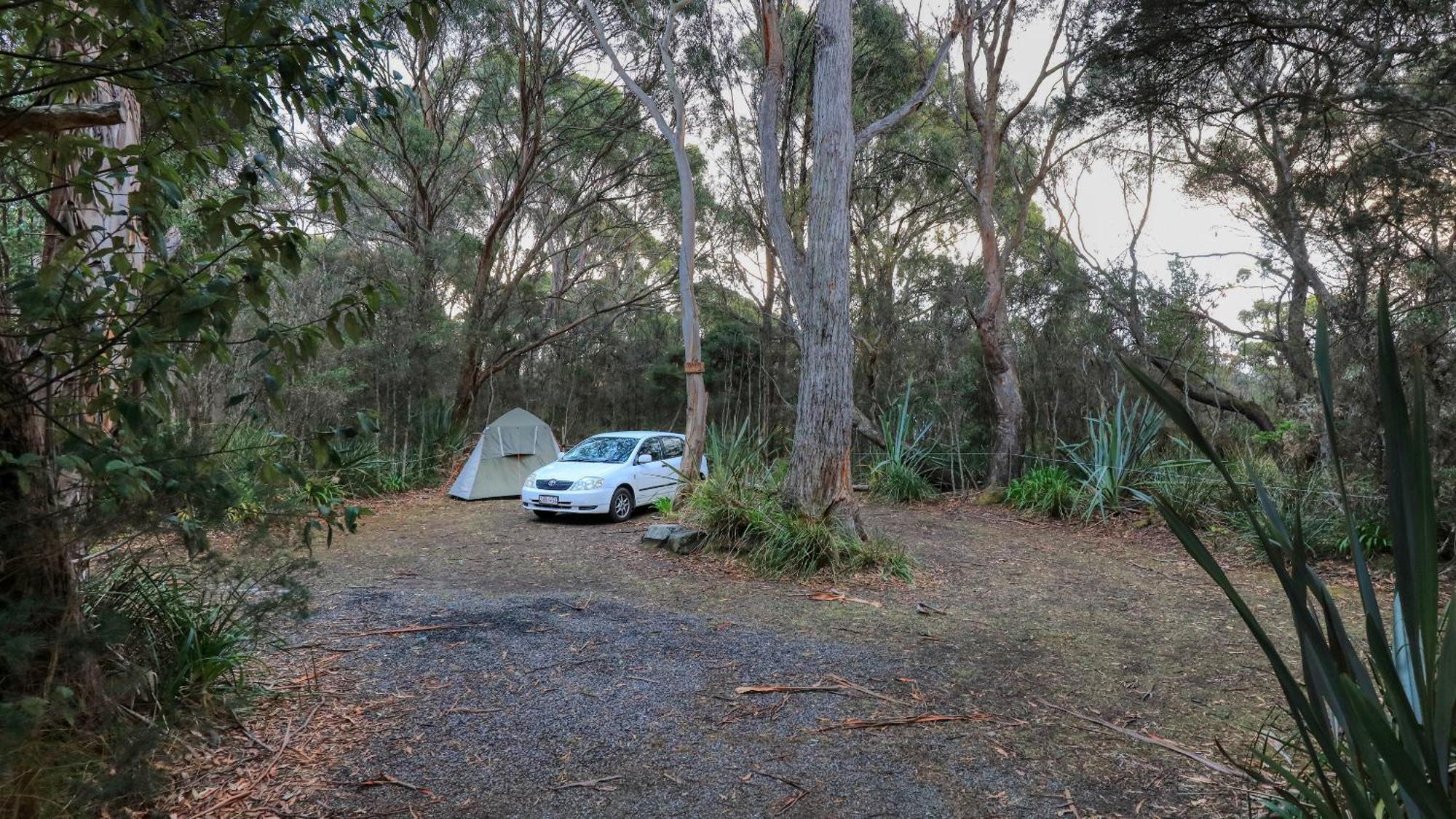 Crayfish Creek Van & Cabin Park 외부 사진